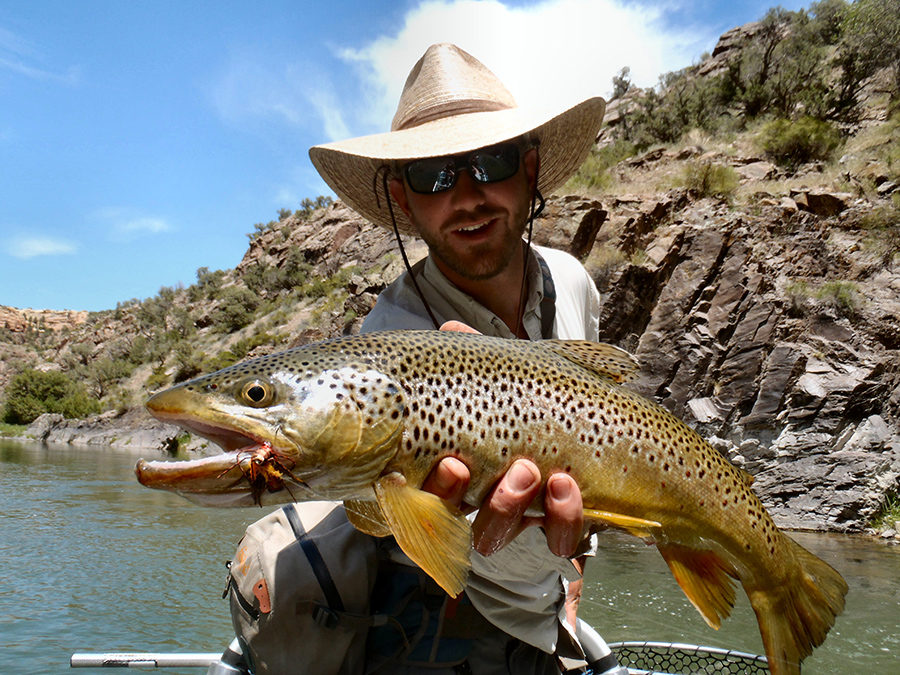Black Canyon Anglers Fly Fishing